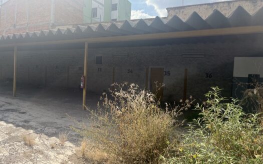 GARIBALDI, COL. CENTRO