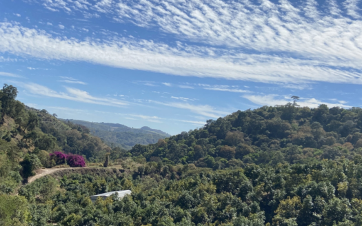 HUERTA EN VENTA XALISCO, NAYARIT