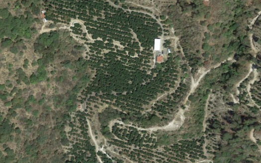 HUERTA EN VENTA XALISCO, NAYARIT