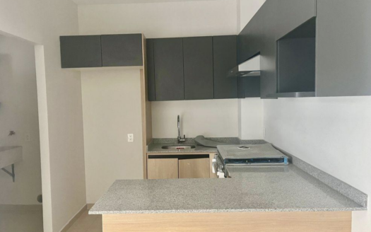 DEPARTAMENTO COL CENTRO GDL