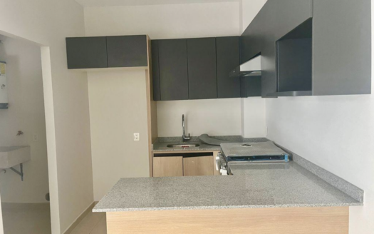 DEPARTAMENTO COL CENTRO GDL