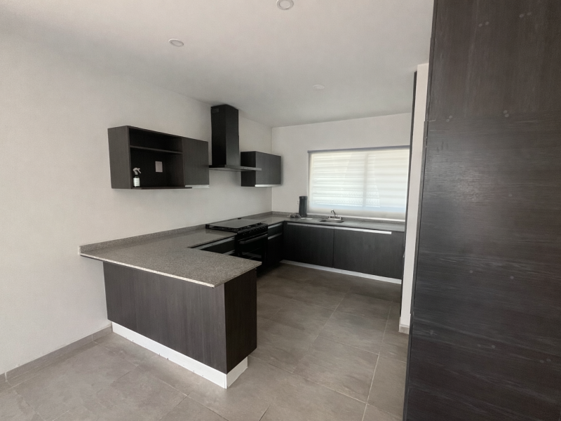 ChatGPT Image Feb 11, 2026, 11_50_51 AM