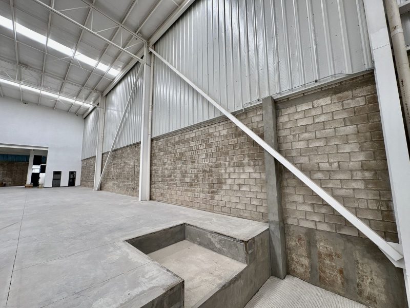 WhatsApp Image 2025-08-08 at 11.25.54