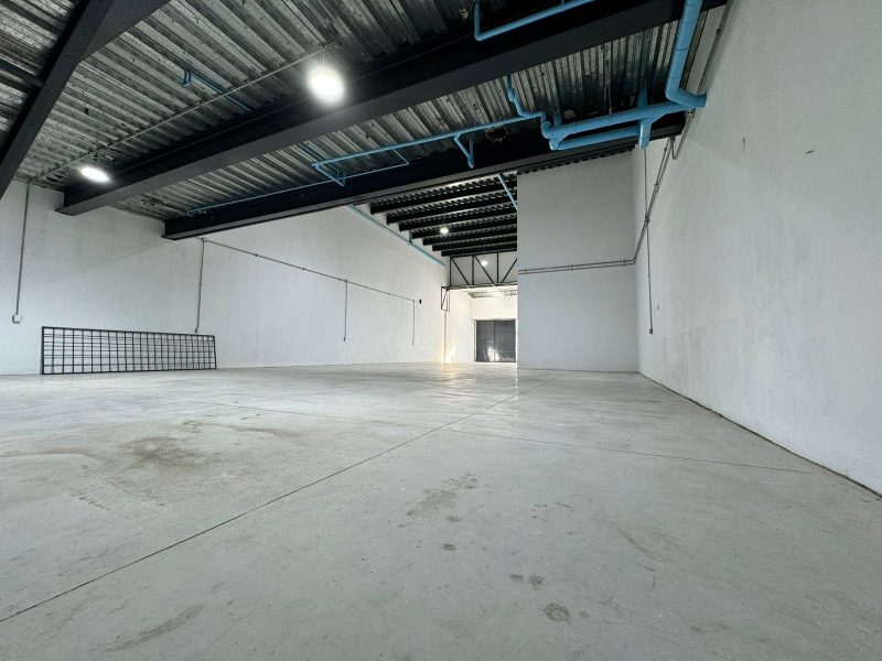 f13971b2-ffba-447b-b966-f9effcae29c3